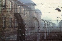 Auschwitz