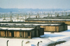 Birkenau