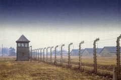 Birkenau