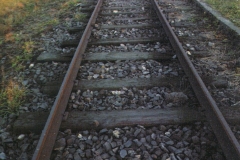 Birkenau