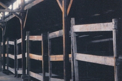 Birkenau