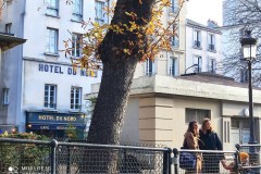 IMG_20221210_112944-Hotel-du-Nord