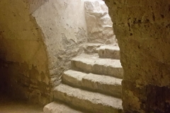Polo Culturale di Santa Maria della Croce