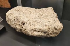 IMG_20260227_190159-scaled