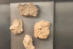 IMG_20260227_190219-scaled