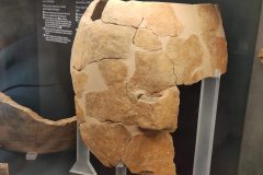 IMG_20260227_190230-scaled