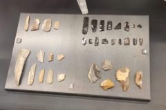 IMG_20260227_190247-scaled