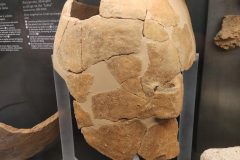 IMG_20260227_190309-scaled