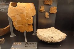 IMG_20260227_190320-1-scaled