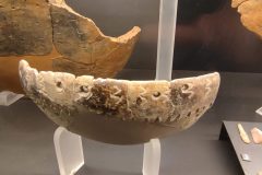 IMG_20260227_190354-scaled