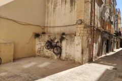 IMG_20241014_123730