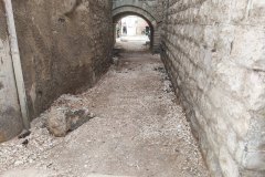 IMG_20241026_131038