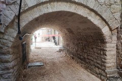 IMG_20241026_131125