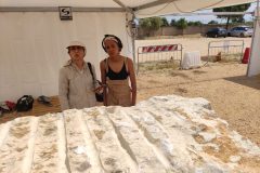 IMG_20250514_123712-scaled