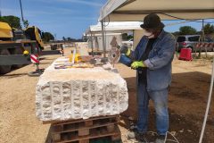 IMG_20250514_123810-scaled